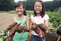 打造你的開心農場，台灣在地小農契作平台